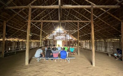 La experiencia del arte de vida: El poder creativo de la palabra y el baile de los Pueblos Indígenas Desano, Tukano y Jupda del Río Papurí.