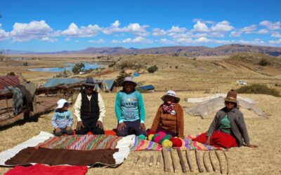 Pueblo Aymara de Perú siembra y teje vida a través de calendario agrofestivo